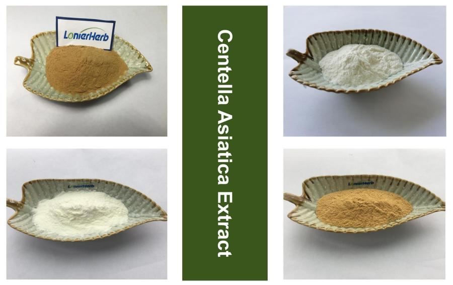 Centella Asiatica  Extract