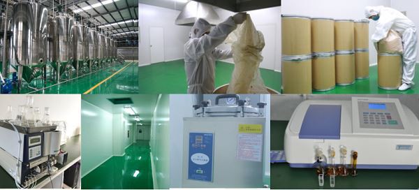 Siberian ginseng root extract