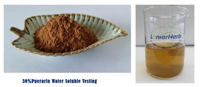Kudzu Root Extract 30% Puerarin Water Soluble Kudzu Root Extract 30% Puerarin Water Soluble
