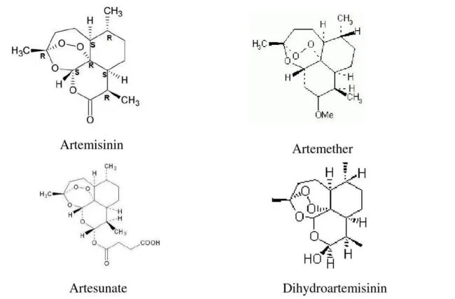 Artemisinin and its derivatives