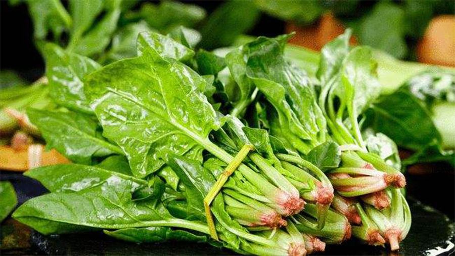 Spinach Juice Powder-1