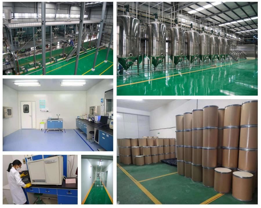 Chinese Manufacturer 