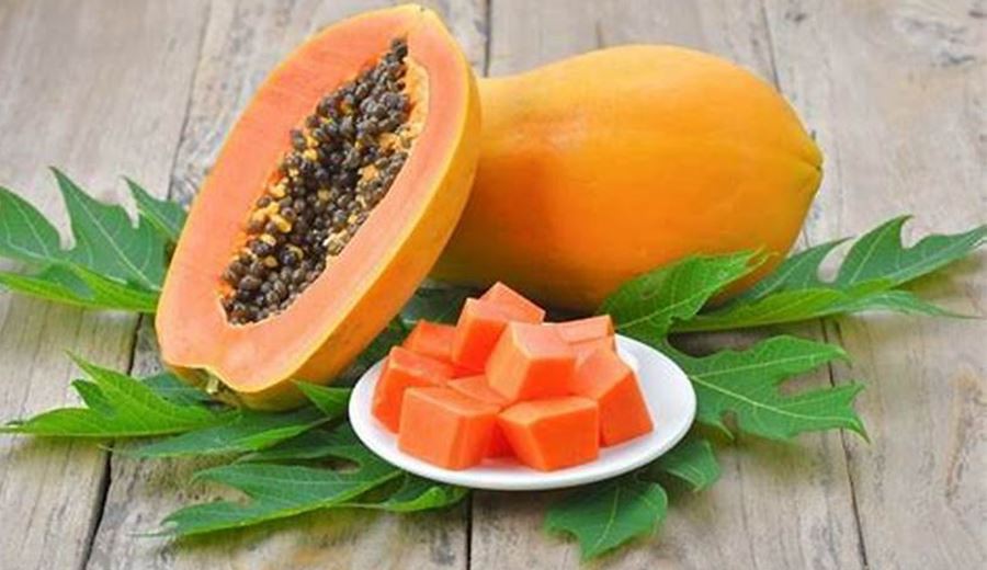 Papaya Fruit Juice Powder