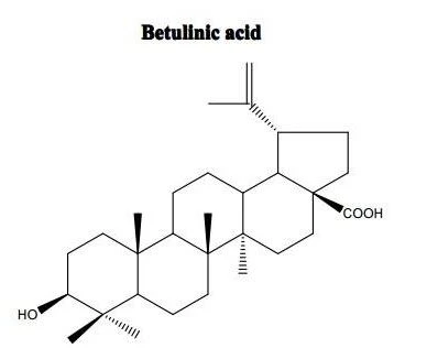 Molecular Structure of Betulinic Acid
