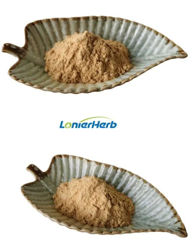 Gynostemma Extract Gynostemma Extract