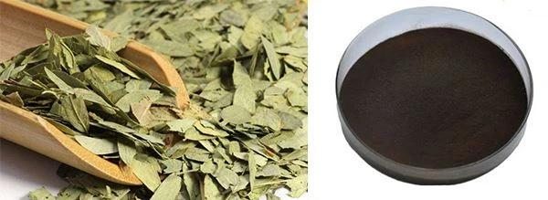Senna Leaf Extract