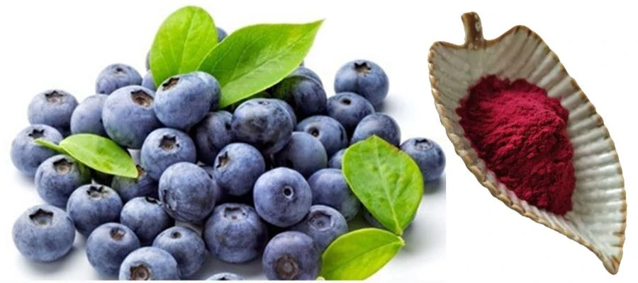 Acai Berry Extract Powder