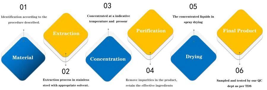 Plant Extract Flow Chart-2