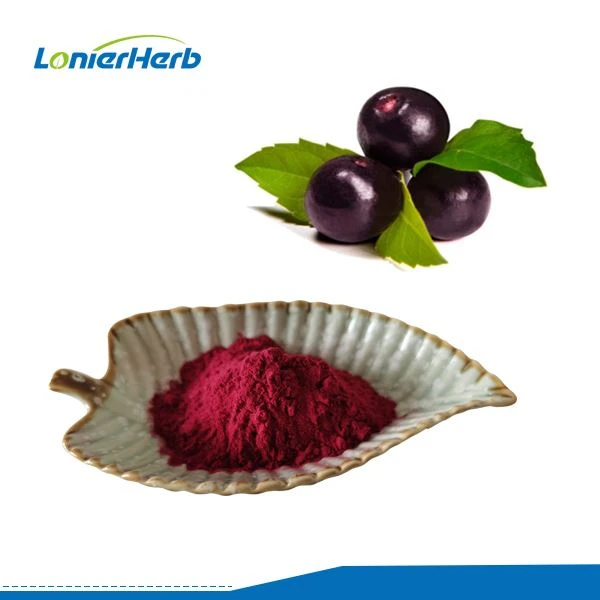Bột chiết xuất Acai Berry