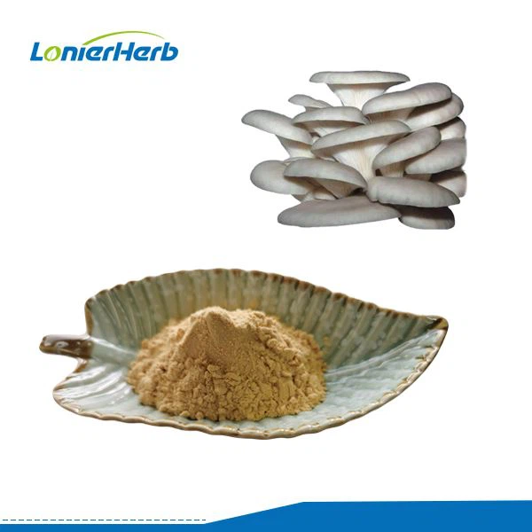 Bột chiết xuất nấm hàu