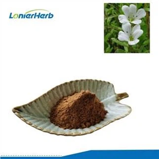 Bột chiết xuất Bacopa Monnieri