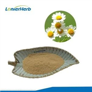 Bột chiết xuất Feverfew