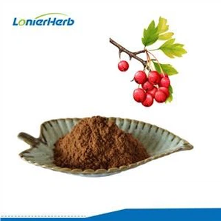 Chiết xuất lá diều hâu