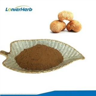 Bột chiết xuất bờm sư tử