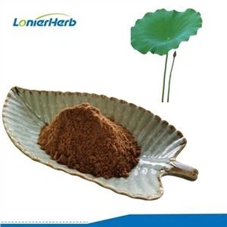 Bột chiết xuất lá sen