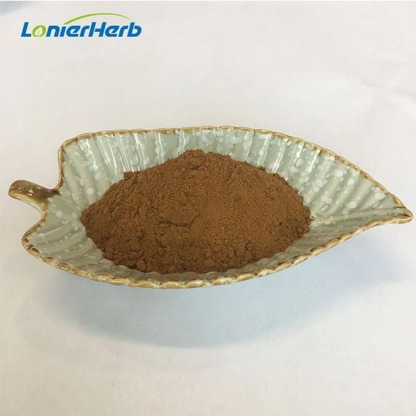 High Quality Aucklandia Root Extract
