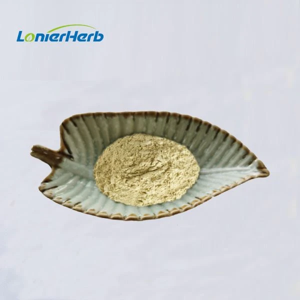 Bitter Gourd Powder