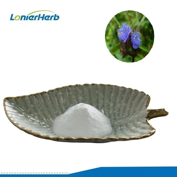 Cyanotis Arachnoidea Extract