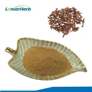Bột chiết xuất đinh hương