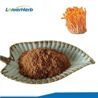 Chiết xuất đông trùng hạ thảo
