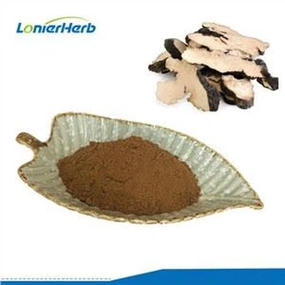 Chiết xuất Polyporus