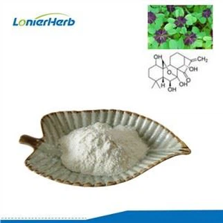 Chiết xuất Rabdosia Rubescens