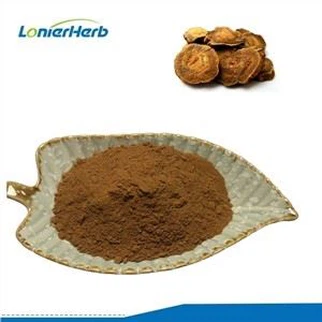 Bột chiết xuất từ rễ cây đại hoàng