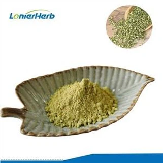 Sophora Japonica Quercetin