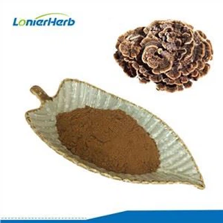 Bột chiết xuất đuôi Thổ Nhĩ Kỳ