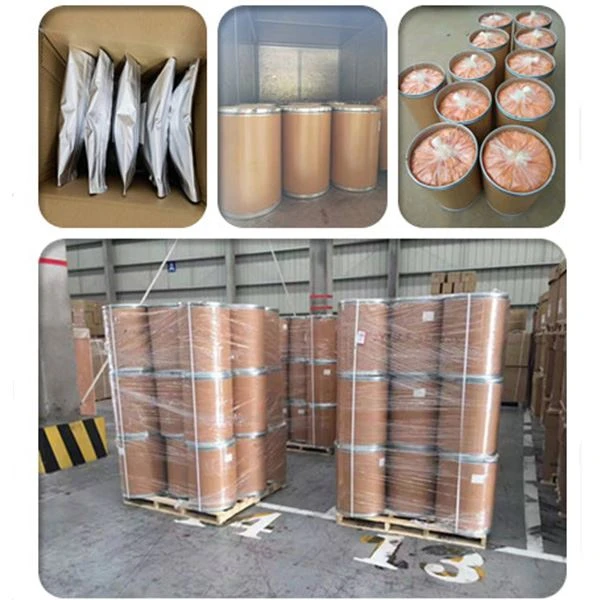 Lactase Enzyme Powder
