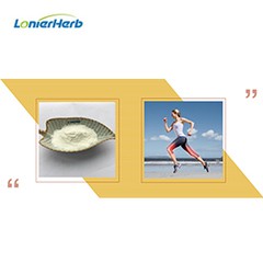 Tại sao Vitamin K2 lại quan trọng như vậy?