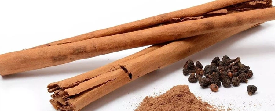 Ceylon Cinnamon Extract factory Ceylon Cinnamon Extract factory