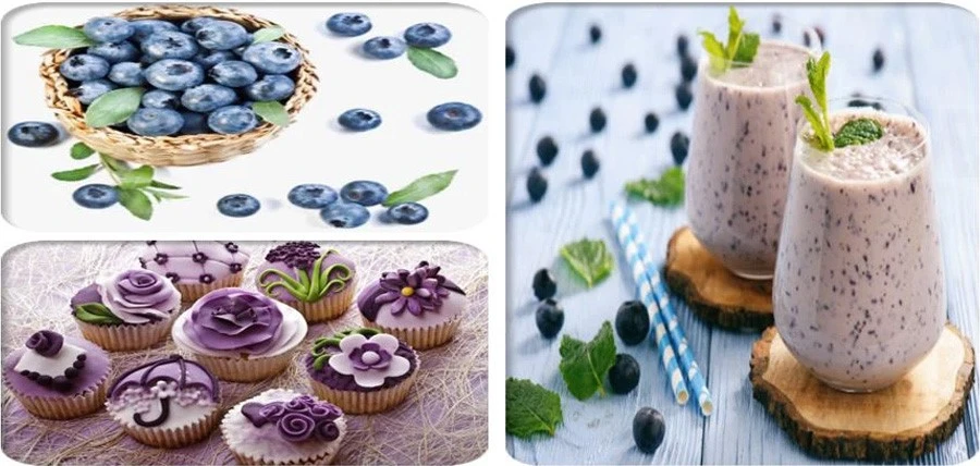 Blueberry Juice Powder manufacturers Blueberry Juice Powder manufacturers